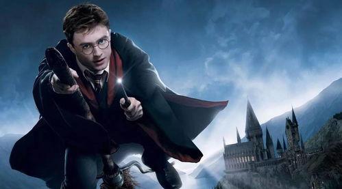 哈利·波特：烘焙奇才,哈利·波特中的甜蜜魔法与奇幻糕点