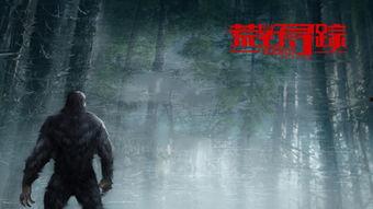 荒野寻踪,揭秘未知自然的神秘之旅